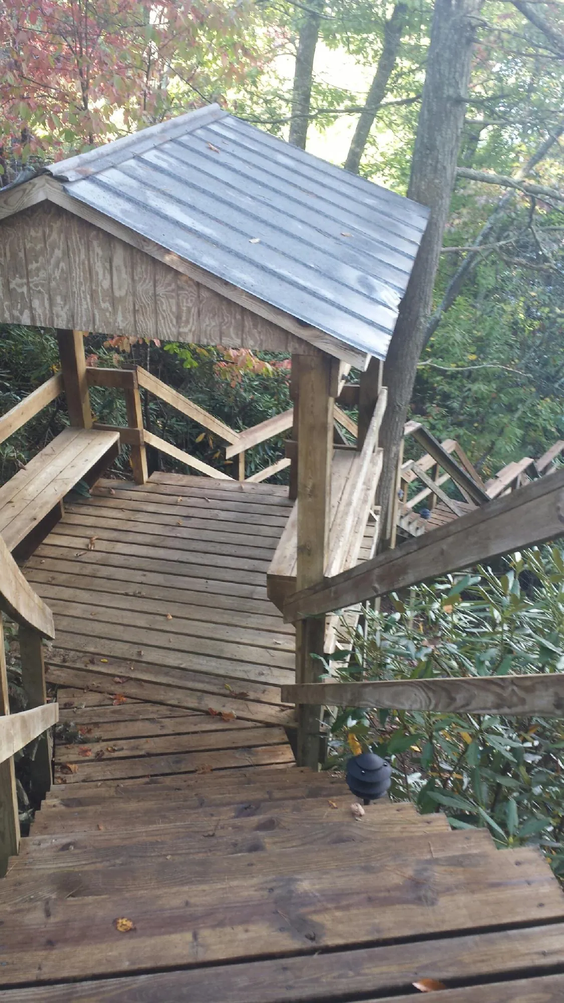 Metal roofed shelter over wooden steps on a wooded walkway — Skylight Repair & Installation work by our crew in Ravensdale
