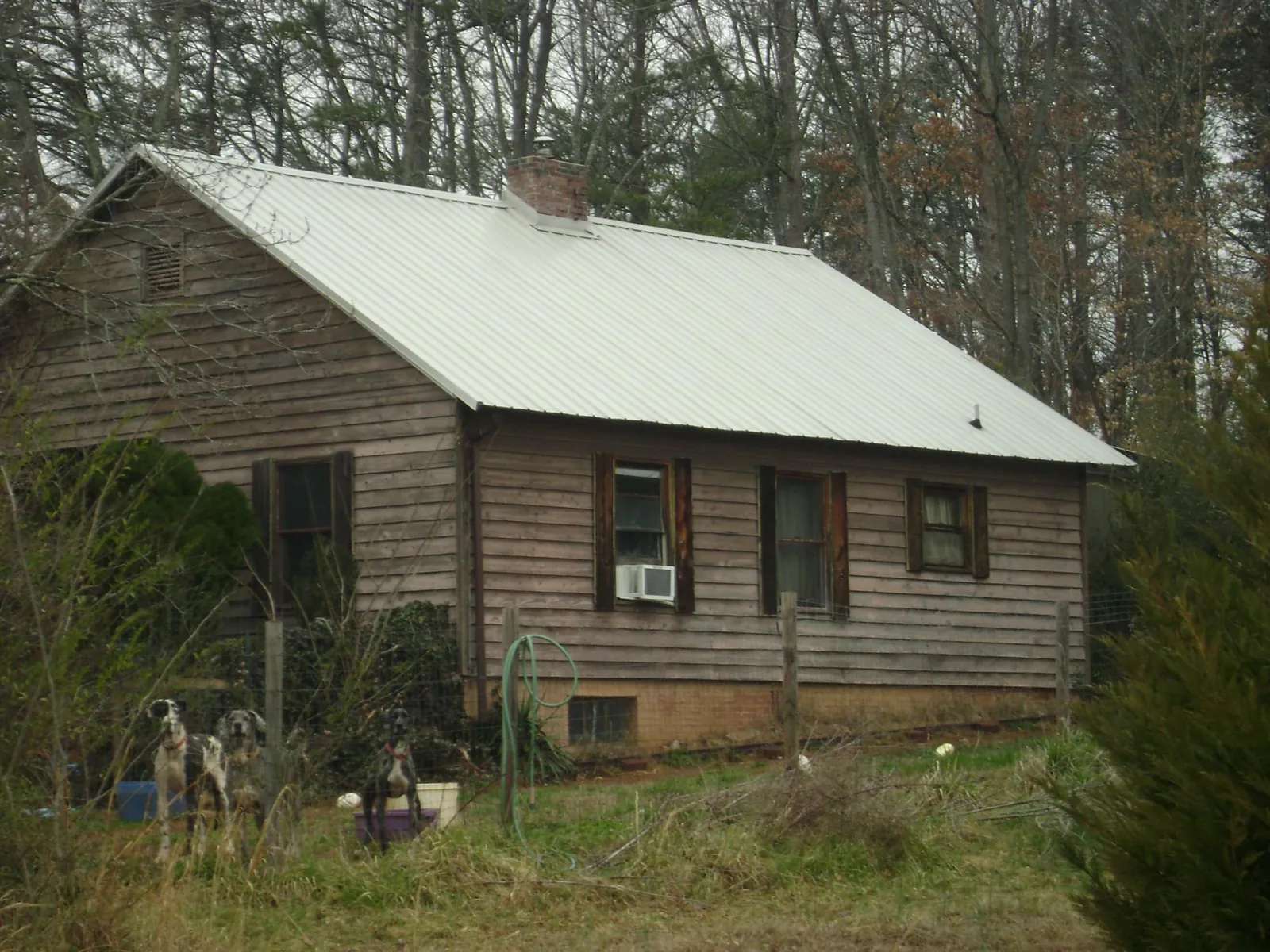 White metal roof on an old wood sided farmhouse, from a Metal Roof Installation job in Ravensdale